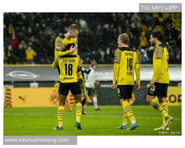 德乙激战海登海姆主场迎战韦恩争夺关键三分之战 德乙激战海登海姆主场迎战韦恩争夺关键三分之战